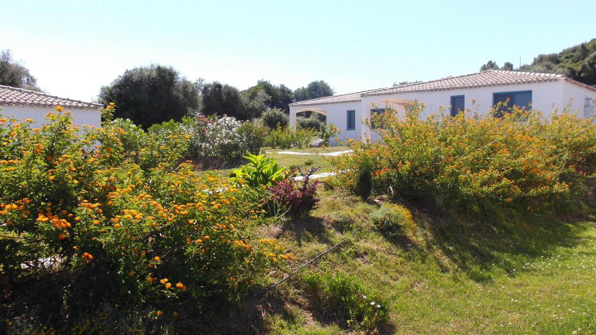 Hotel Baia Cea Bari Sardo Exteriér fotografie